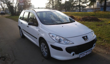 Peugeot 307 2006 полный