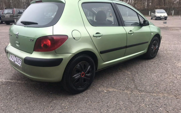 Peugeot 307 2004 полный