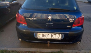 Peugeot 307 2001 полный