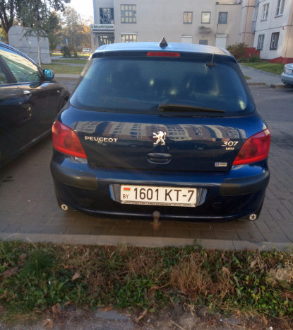 Peugeot 307 2001 полный