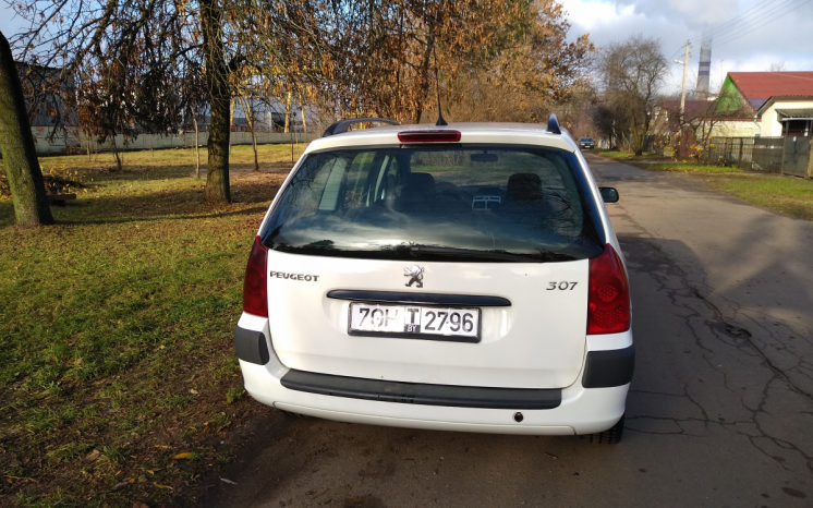 Peugeot 307 2006 полный