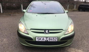 Peugeot 307 2004 полный