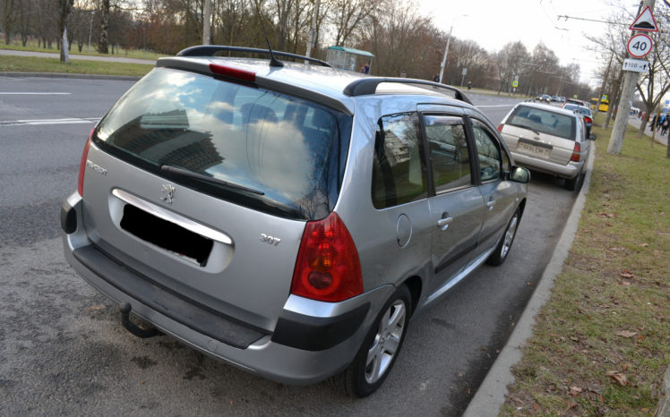 Peugeot 307 2002 полный