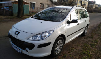 Peugeot 307 2006 полный