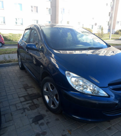 Peugeot 307 2001 полный