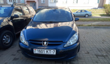 Peugeot 307 2001 полный