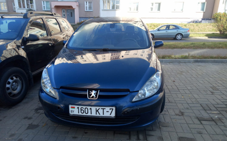 Peugeot 307 2001 полный